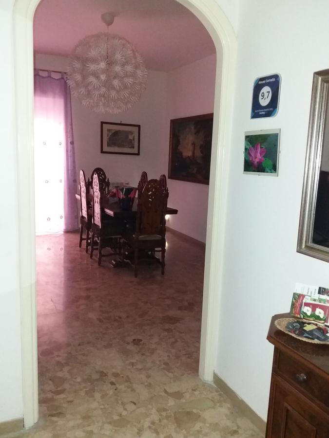 Apartment House Cornelia