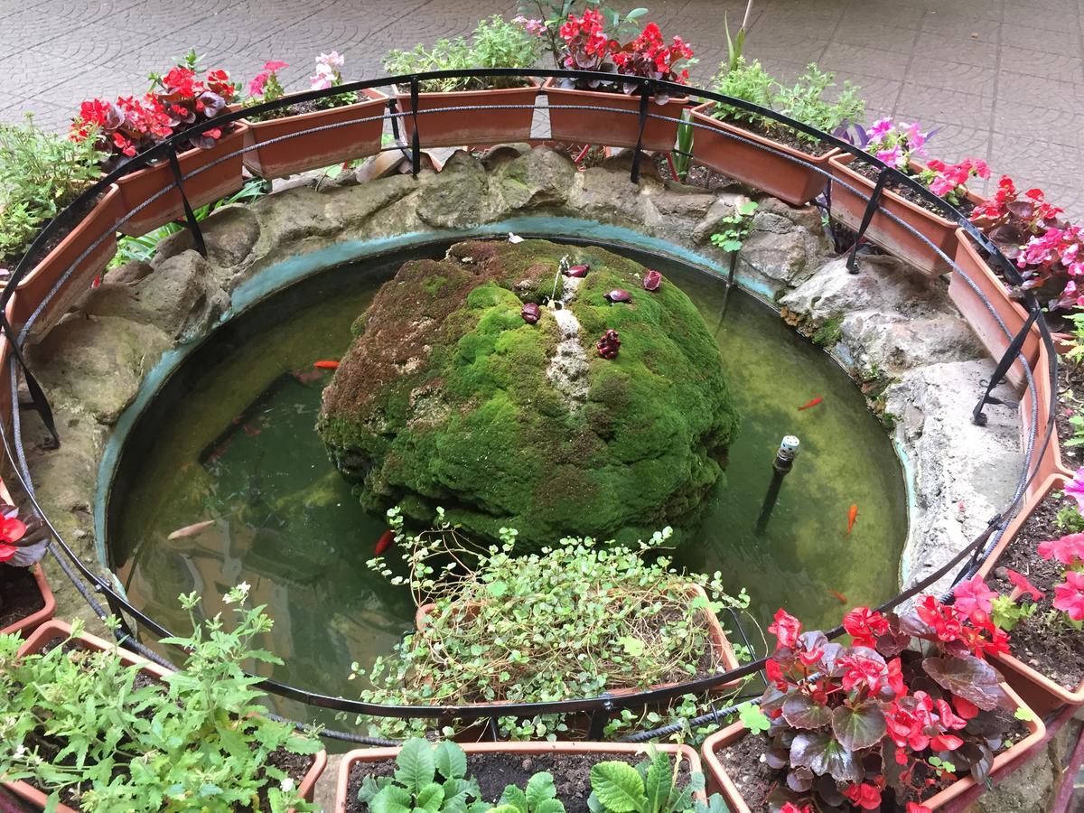 Bed & Breakfast Blue Whale Rome