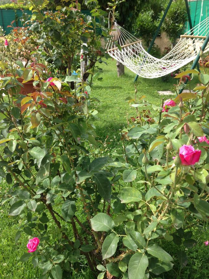 Floral House Ciampino Homestay *