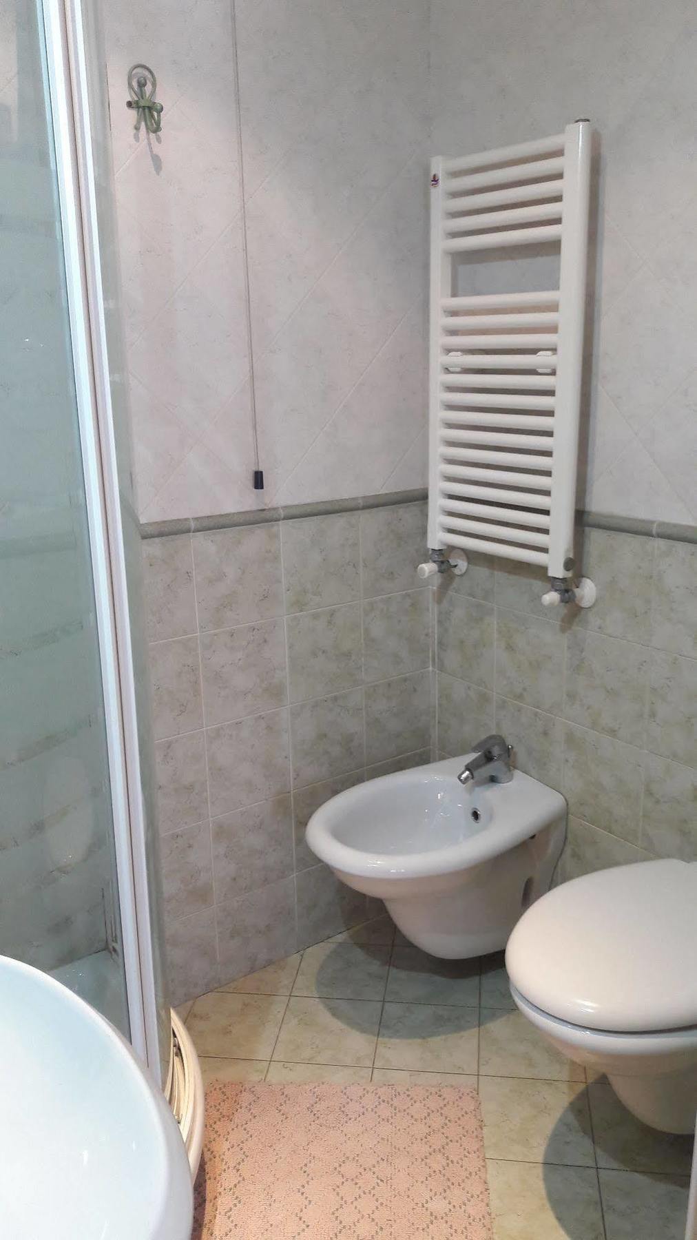 Aristotele 2*