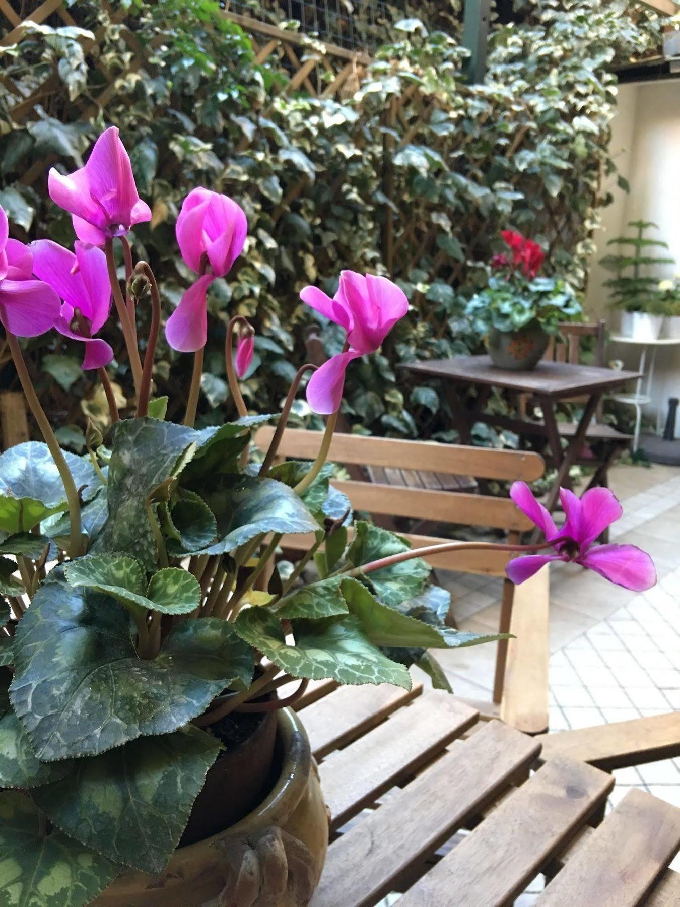 Acomodação com café da manhã  St. John Roma