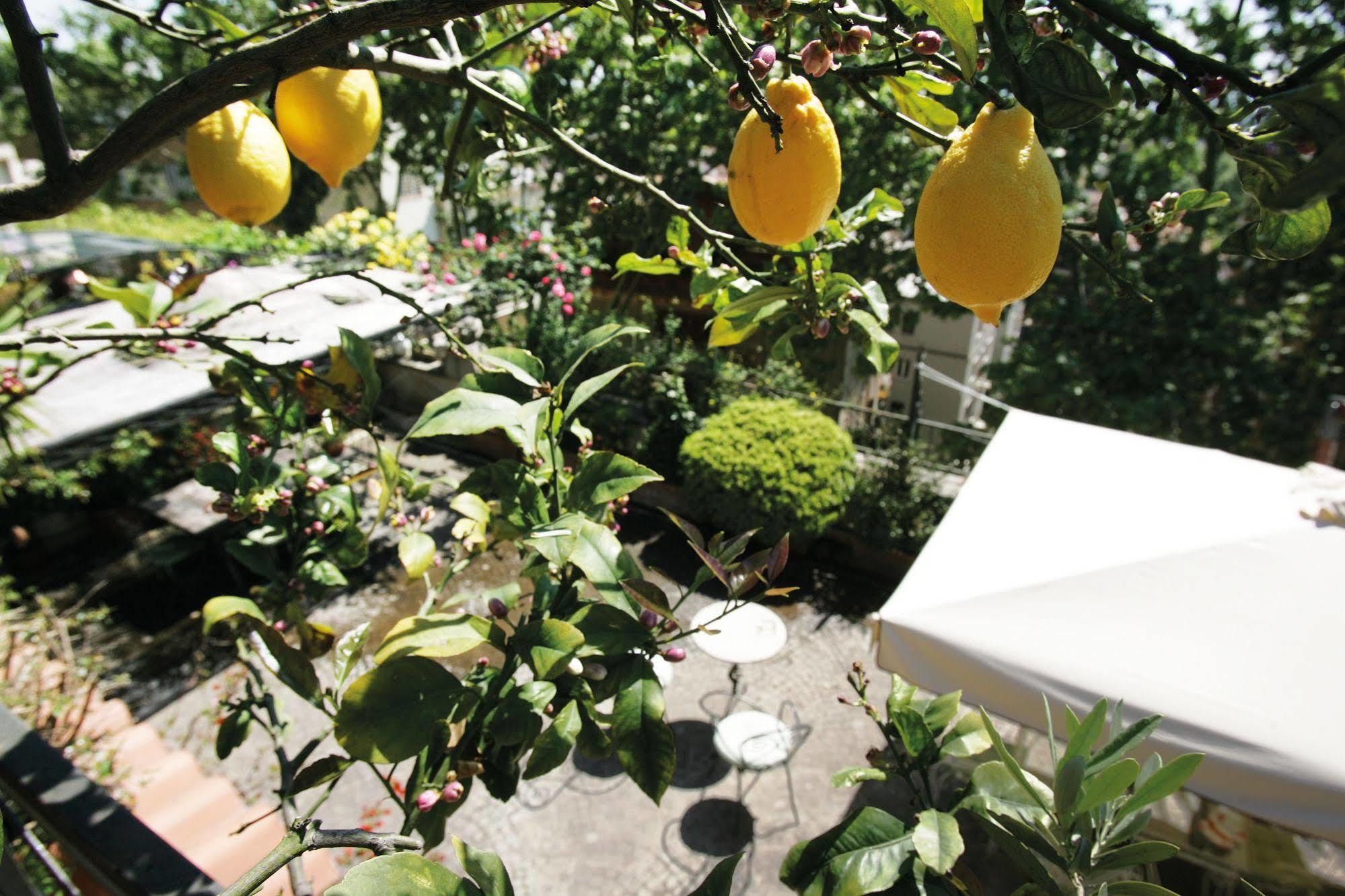 Il Boom Bed & Breakfast 2*