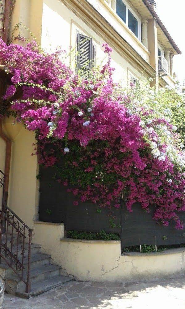 Imperiale Bed & Breakfast Rome