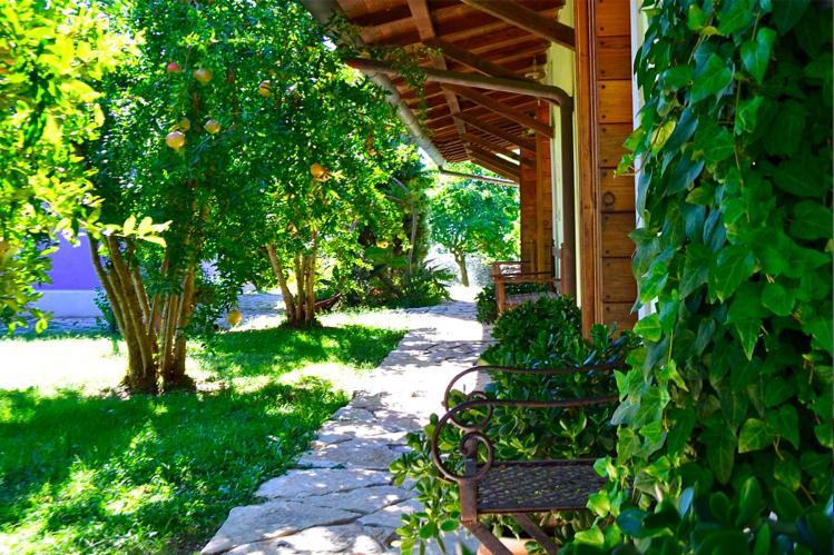 Ars Naturae *