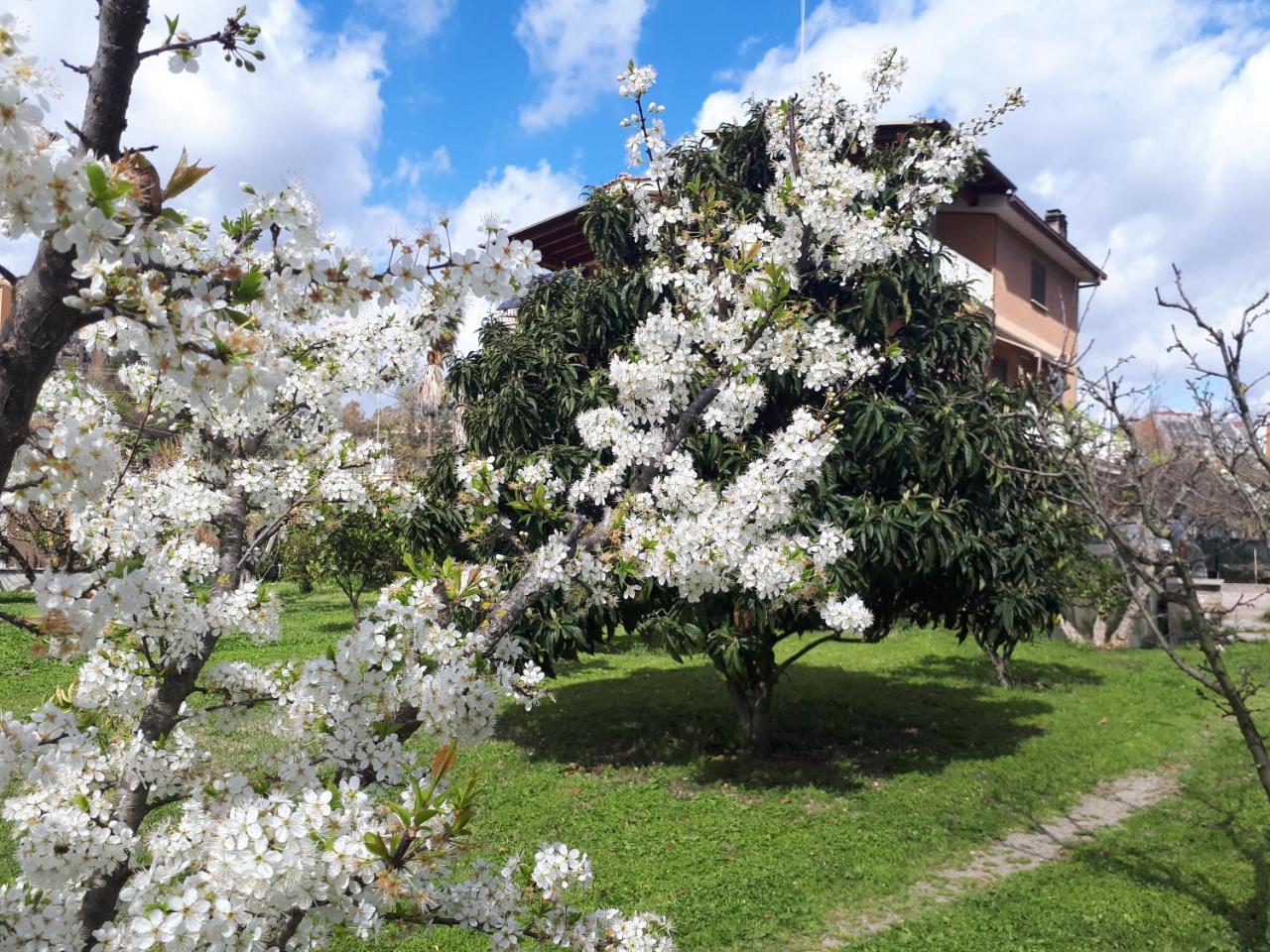Acomodação com café da manhã  Il Giardino Di Gabri Roma