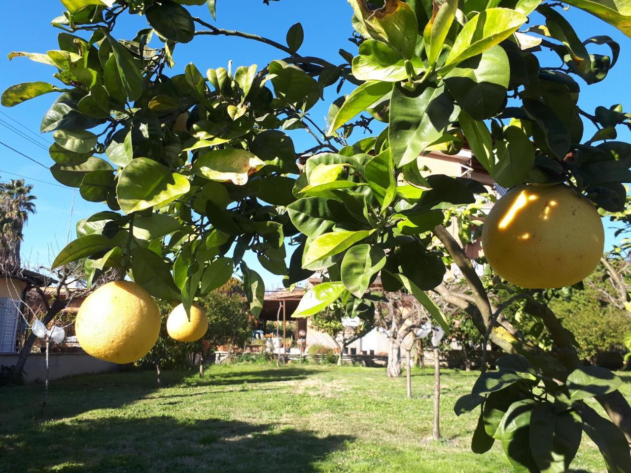 Il Giardino Di Gabri