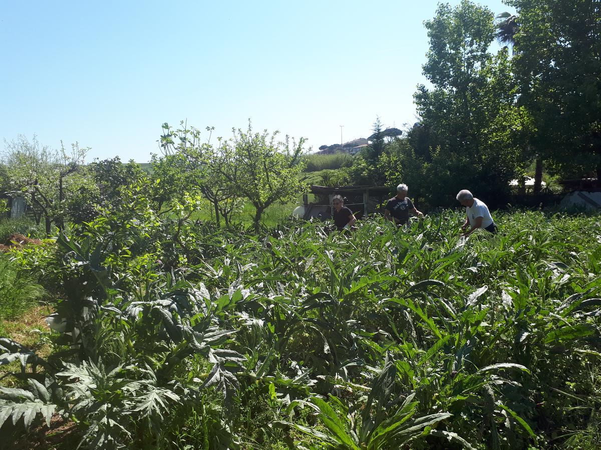 Acomodação com café da manhã  Il Giardino Di Gabri Roma