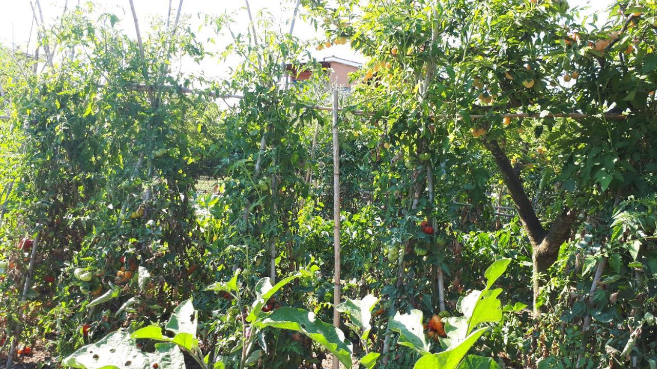 Il Giardino Di Gabri *