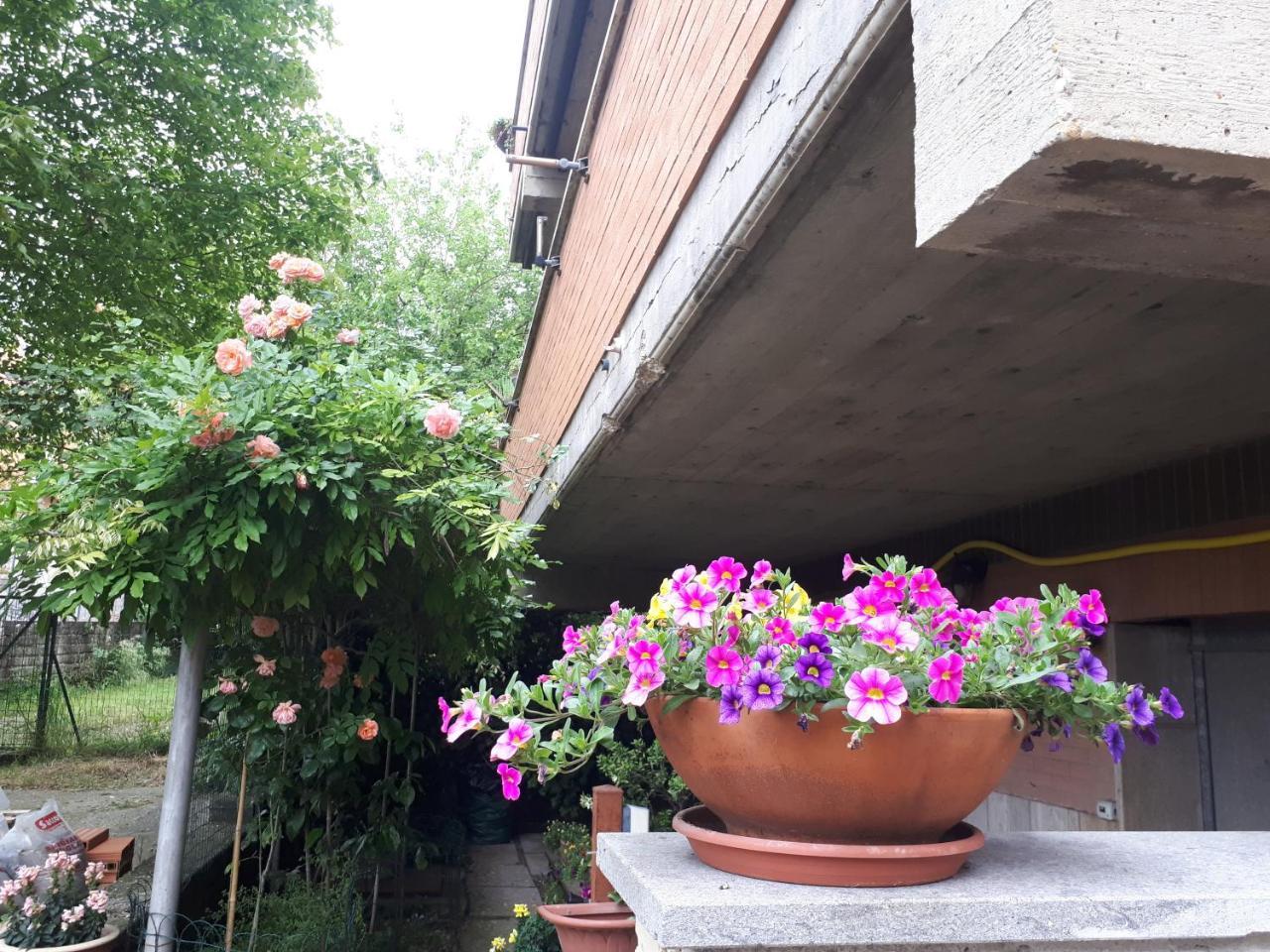 Bed & Breakfast Papa Leone Countryrooms *