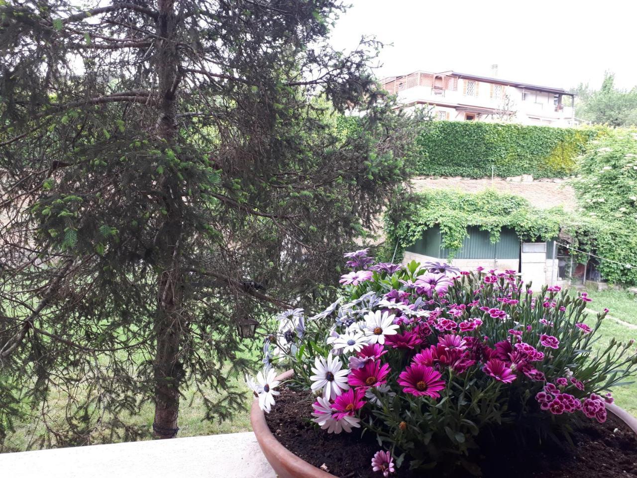 Bed & Breakfast Papa Leone Countryrooms Rome