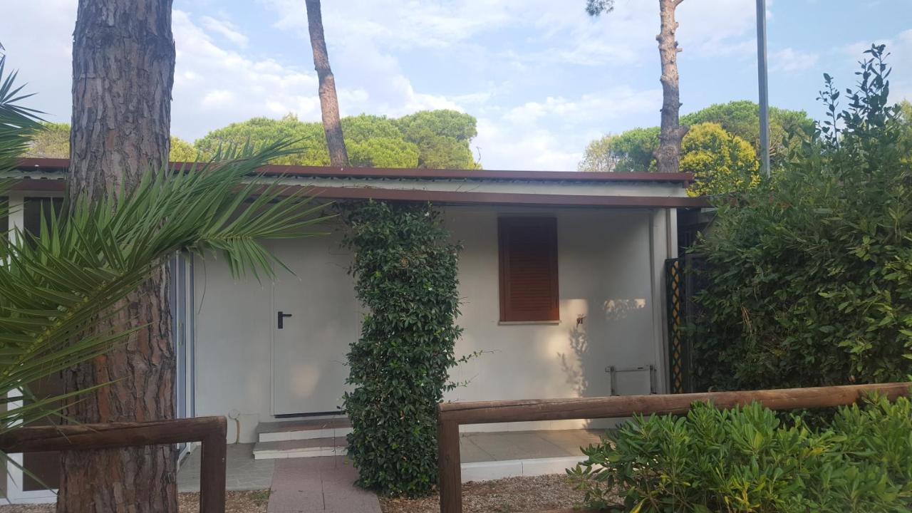 Aurelia Club Campsite