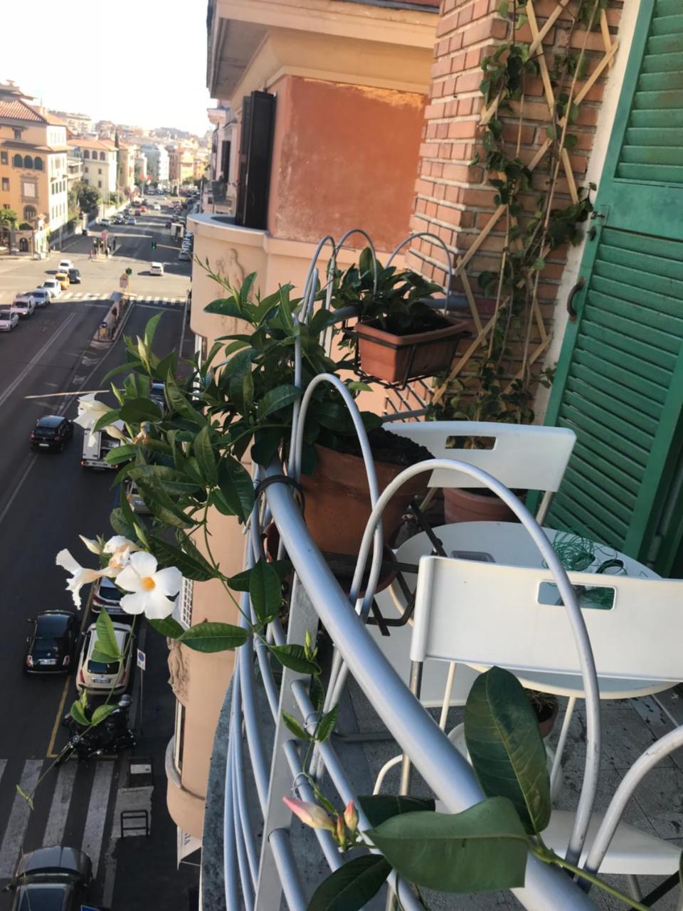 Guest house Morgagni House 2*