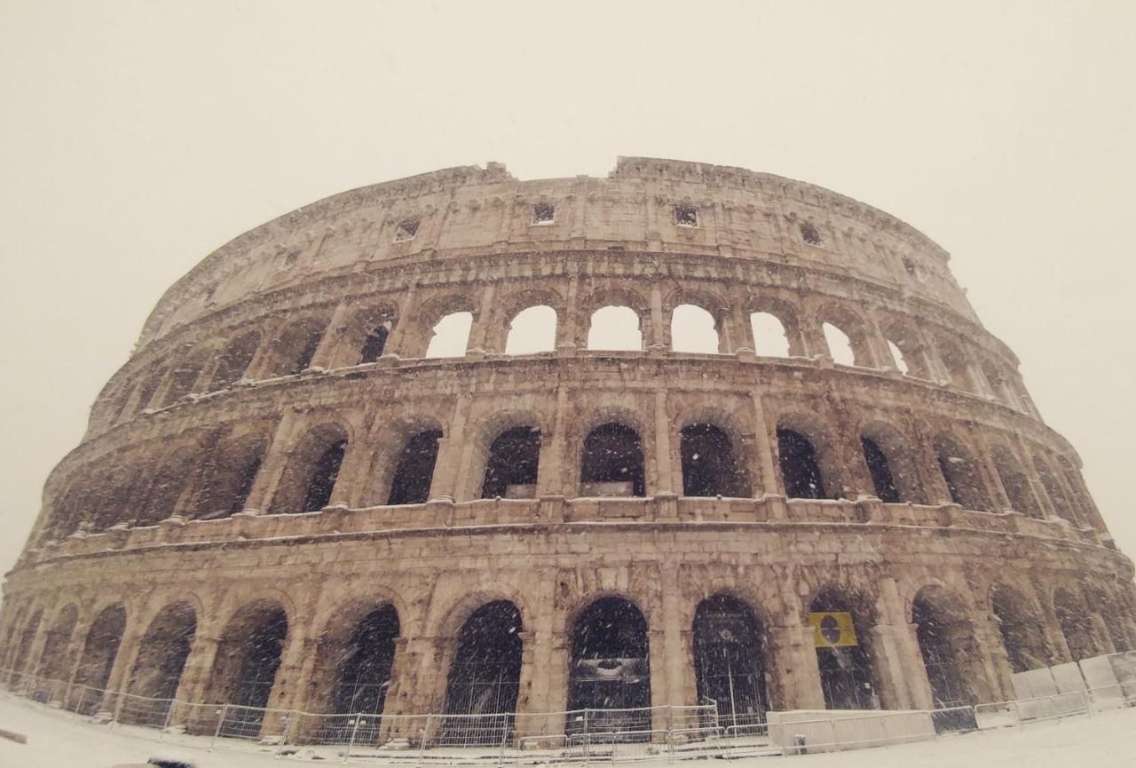 Dreaming Navona 2*