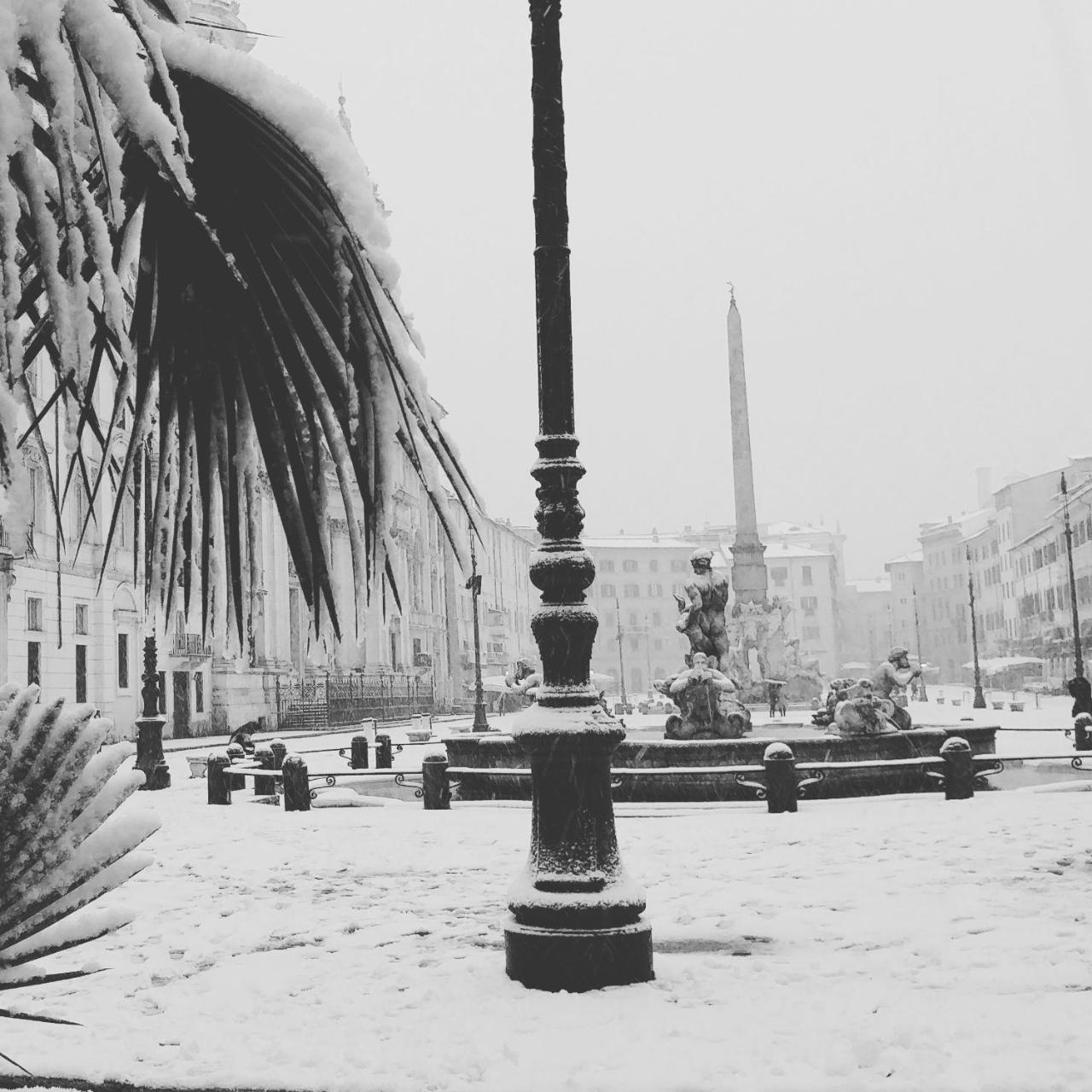 Dreaming Navona 2*
