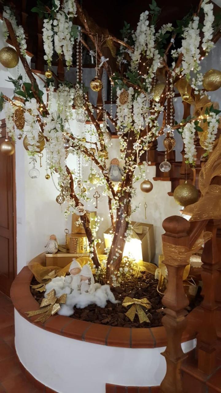 Acomodação com café da manhã  Sant'alessandro Roma