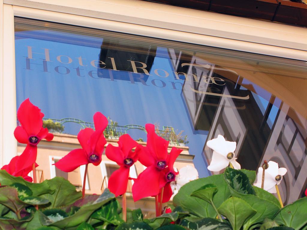 Hotel Continentale 2*