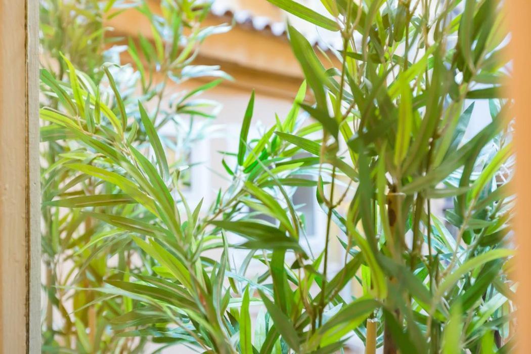 Spanish Step Nest Luxury Appartement