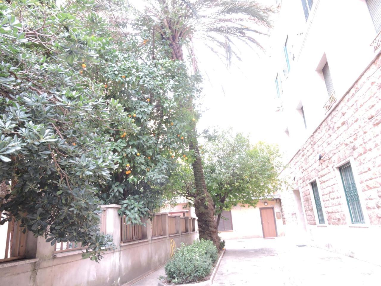 Domus Angelica Apartment