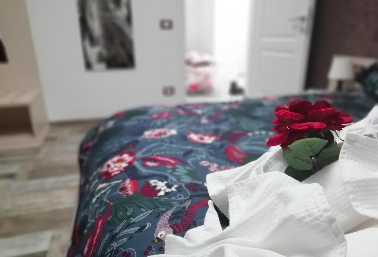 Apartment Domus Angelica