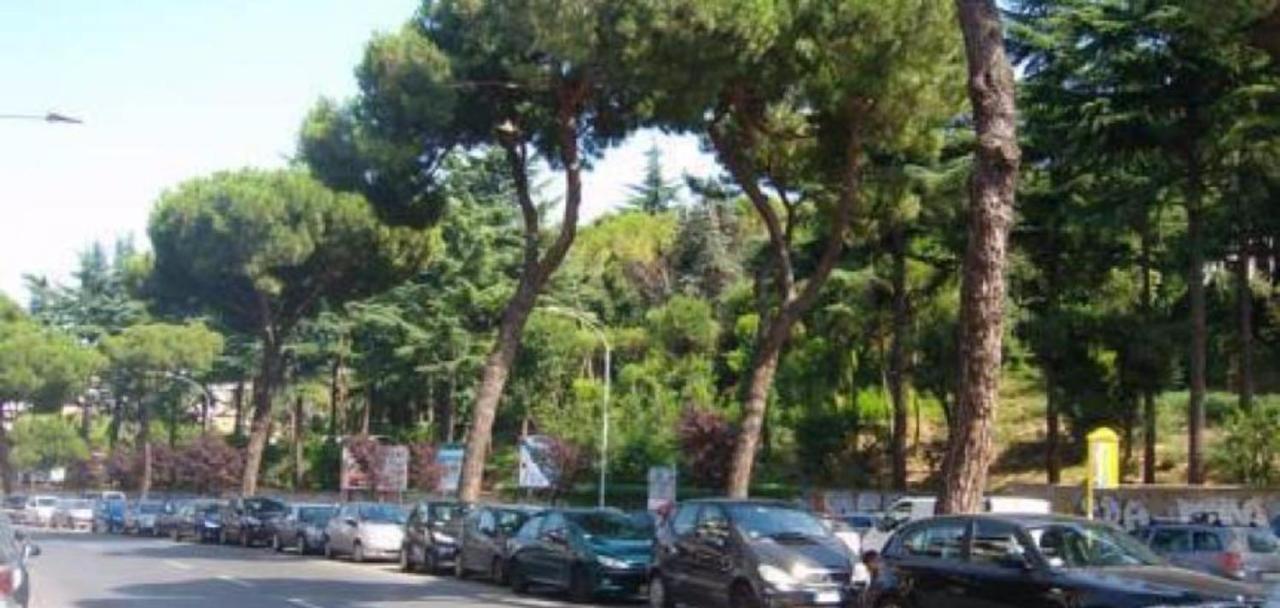 Magnolia St.peter's Guest house Rome