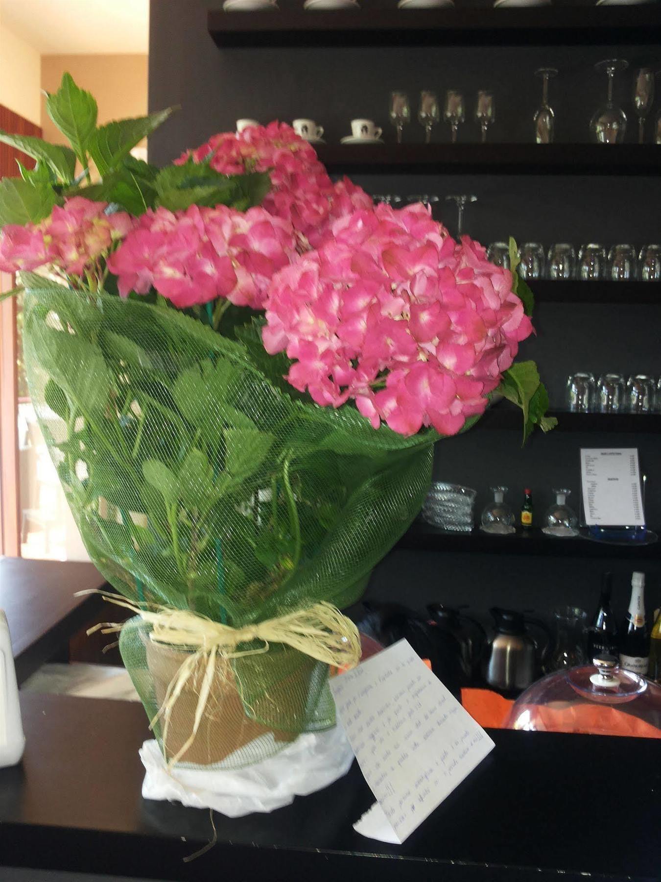 Aida Charming Bed & Breakfast Rome