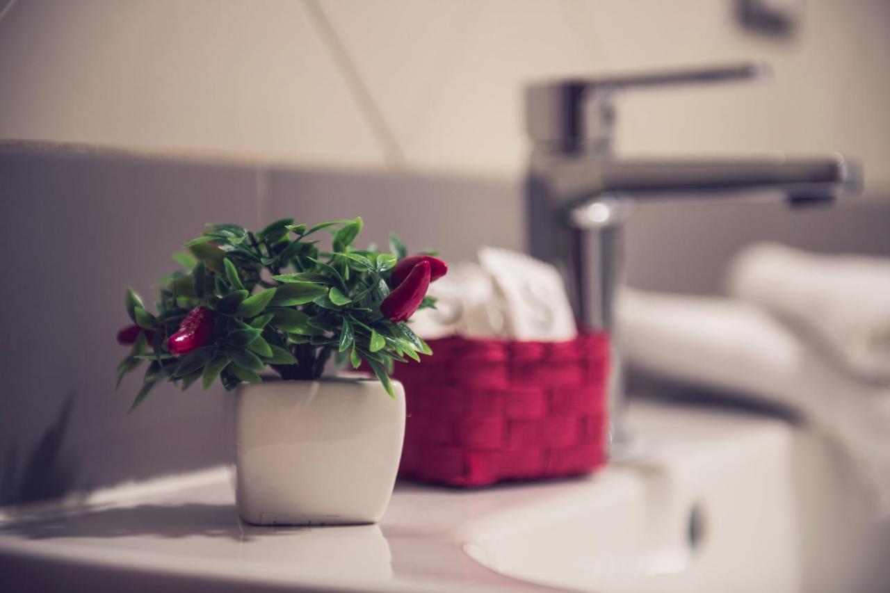 San Francesco A Ripa Appartement Rome