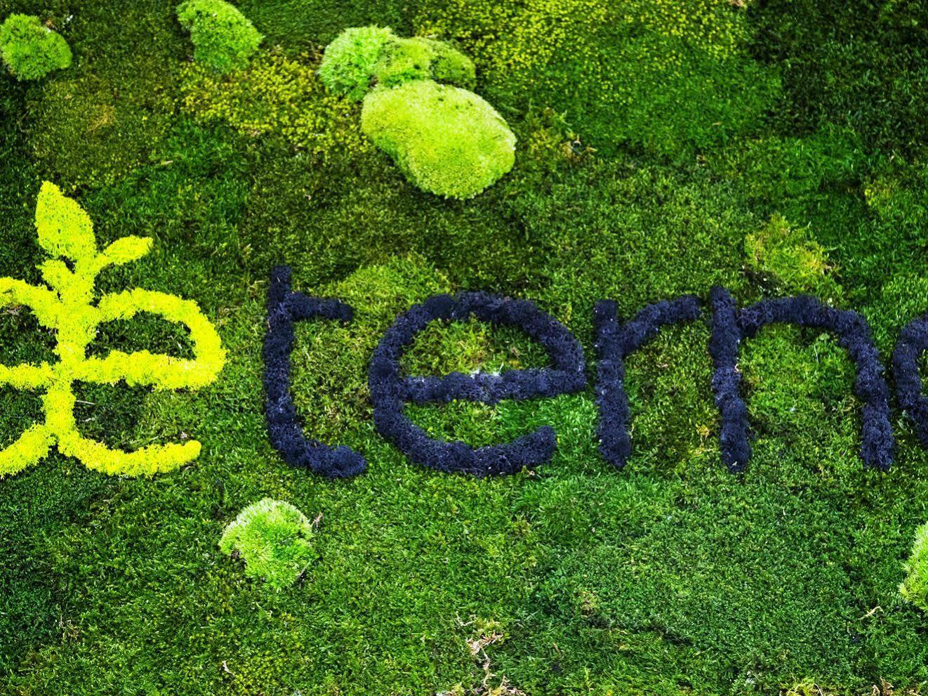 Guest house Aeterno Eco 3*