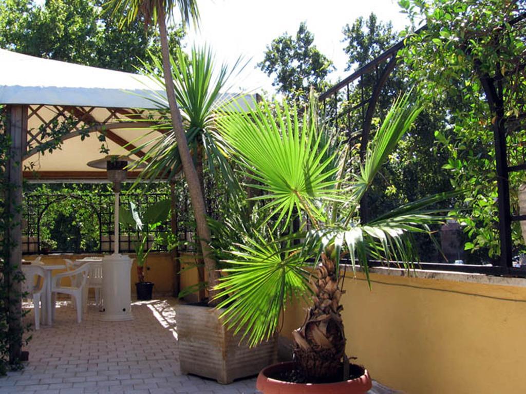 Guest house Camilla 3*