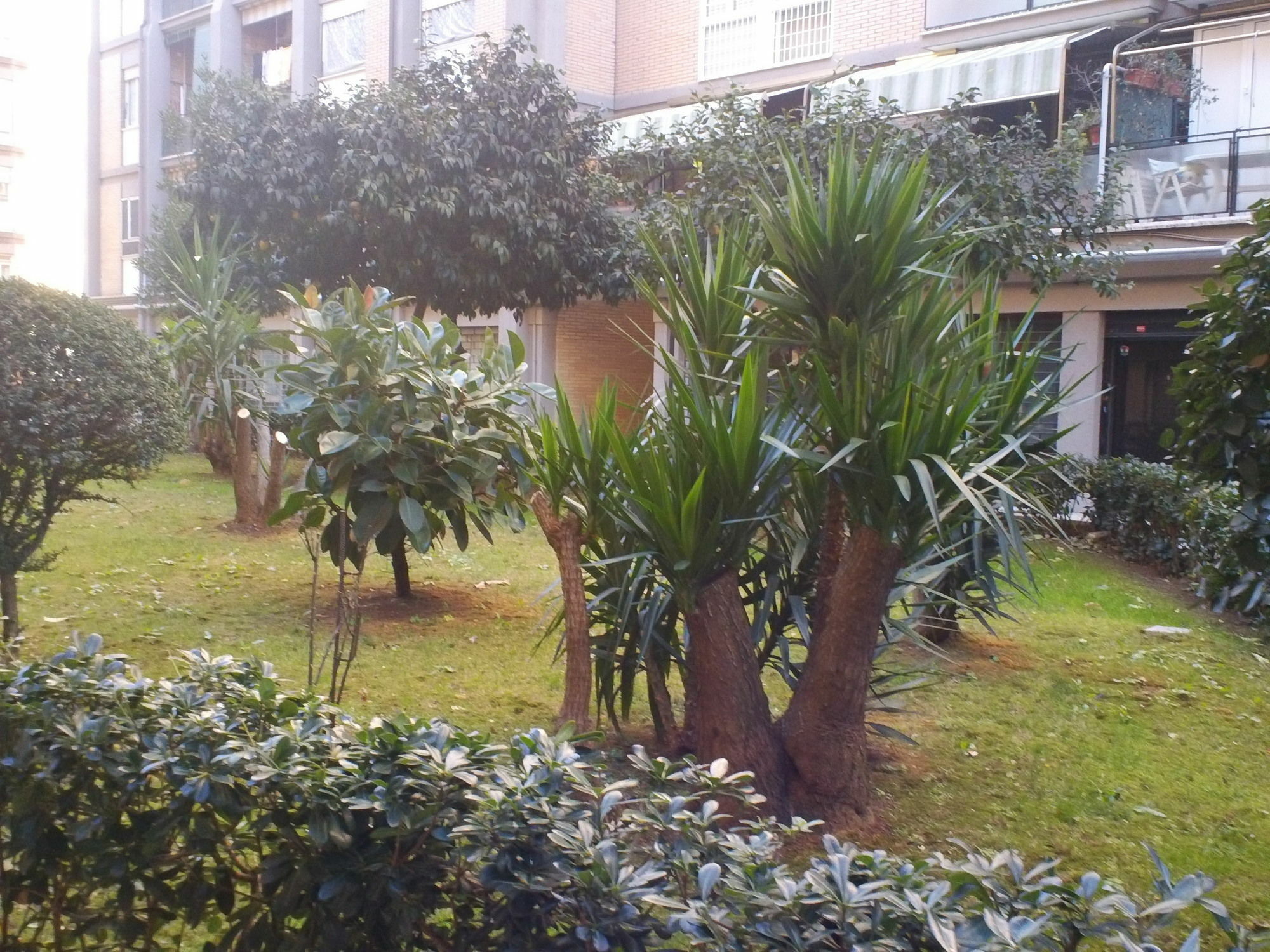Bed & Breakfast Romantica Rome