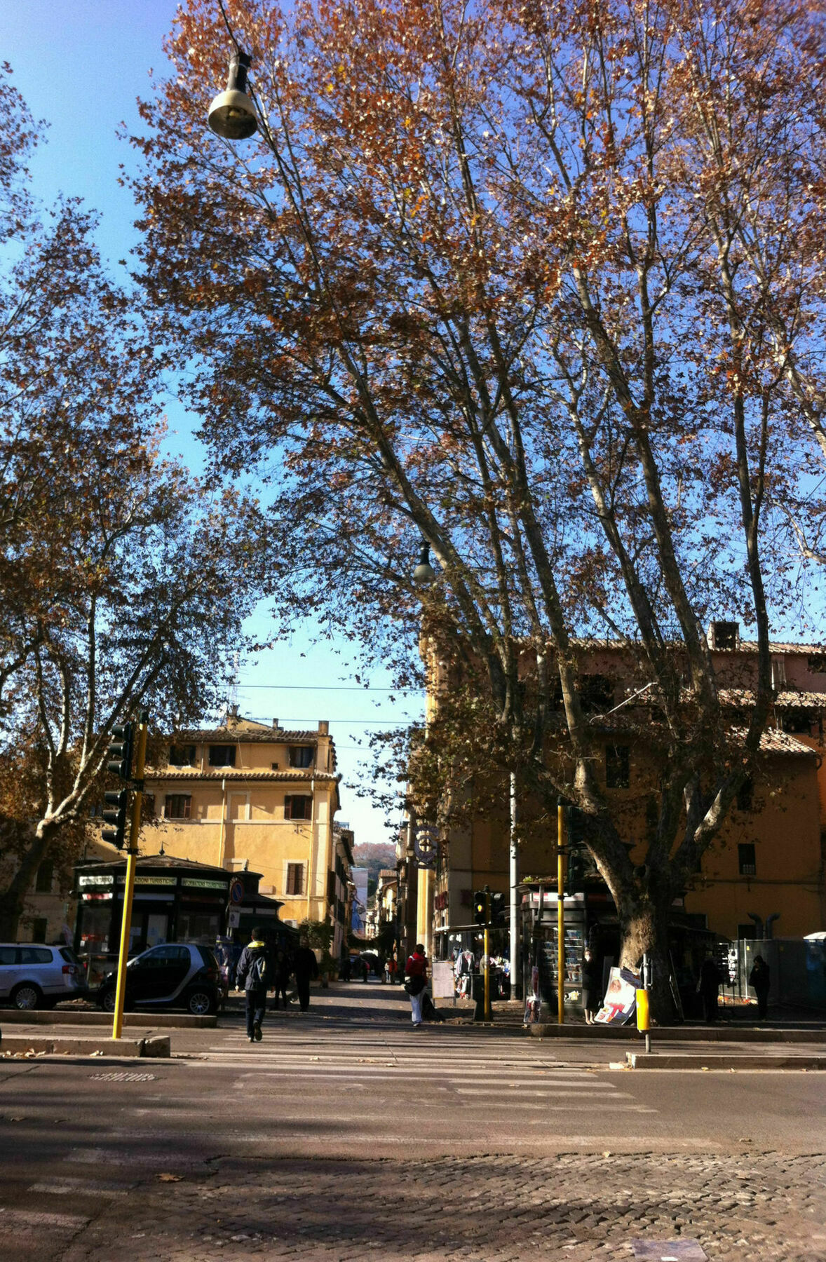 Delle Arti 3*