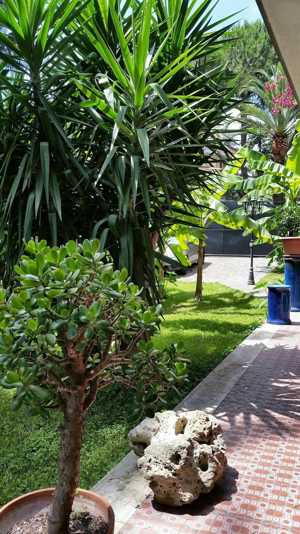 Hotel Il Giardino Di Giulia 2 Rome