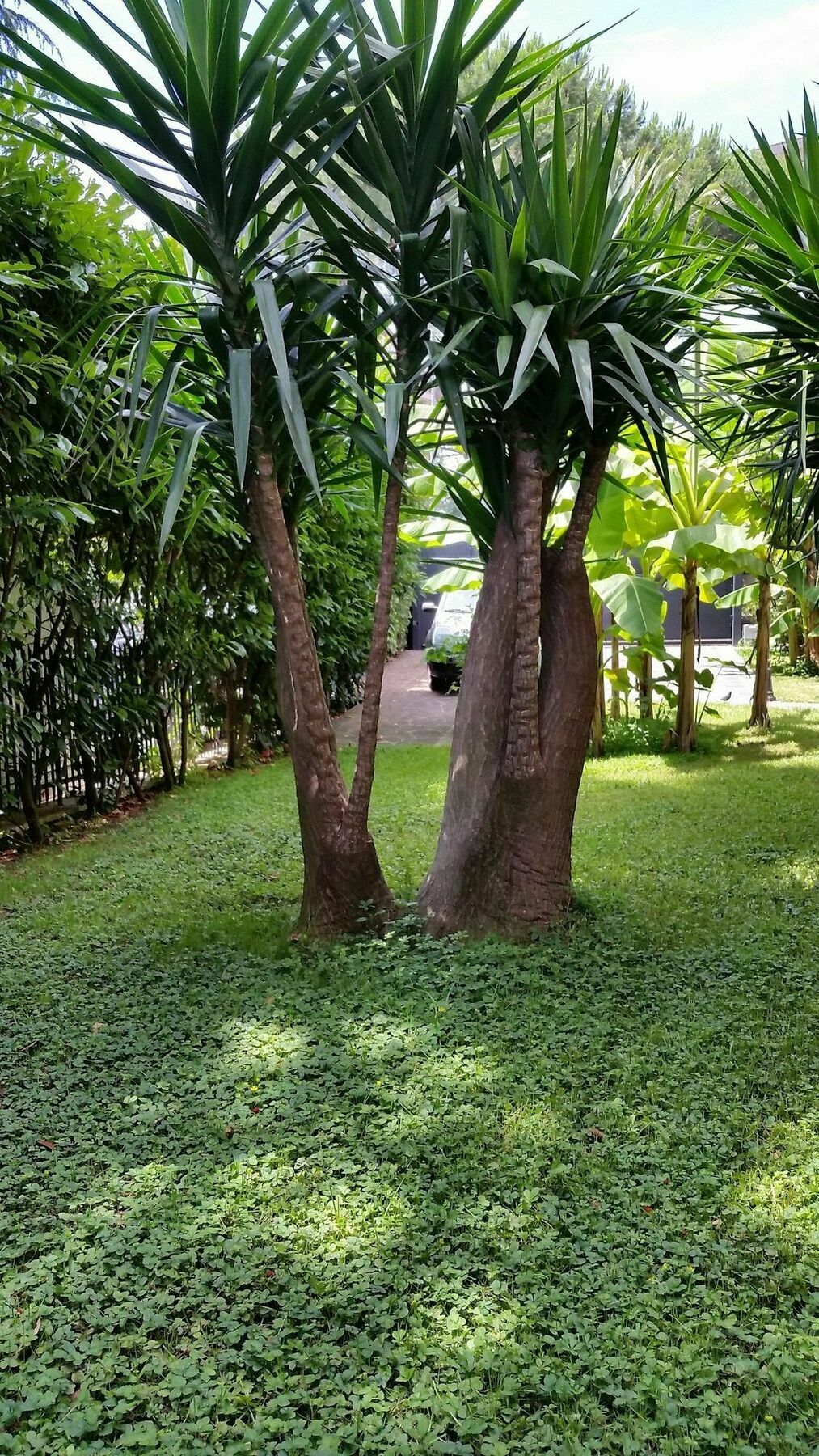 Il Giardino Di Giulia 2 3* Rome