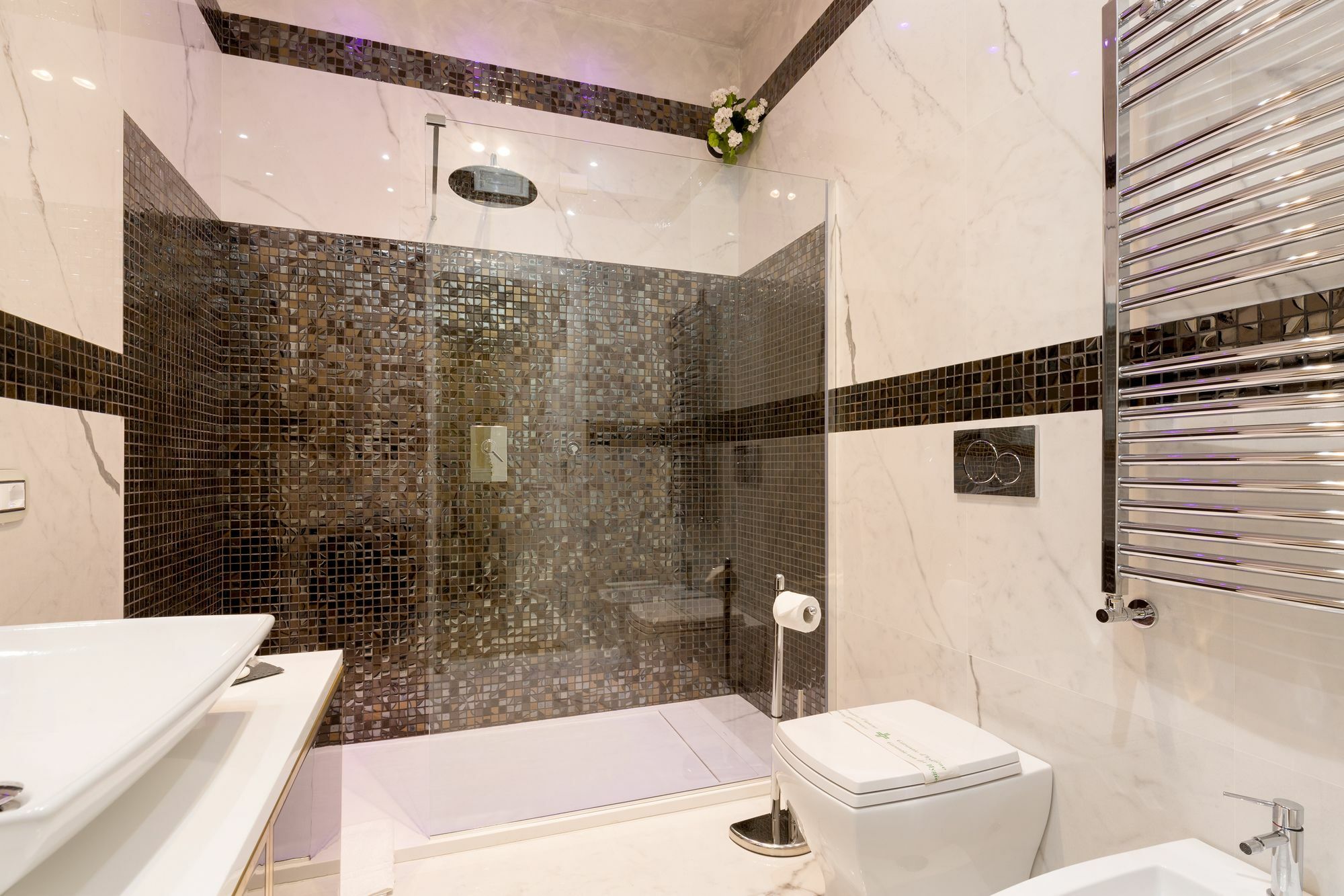 Luxury Piazza Venezia 3* Rome