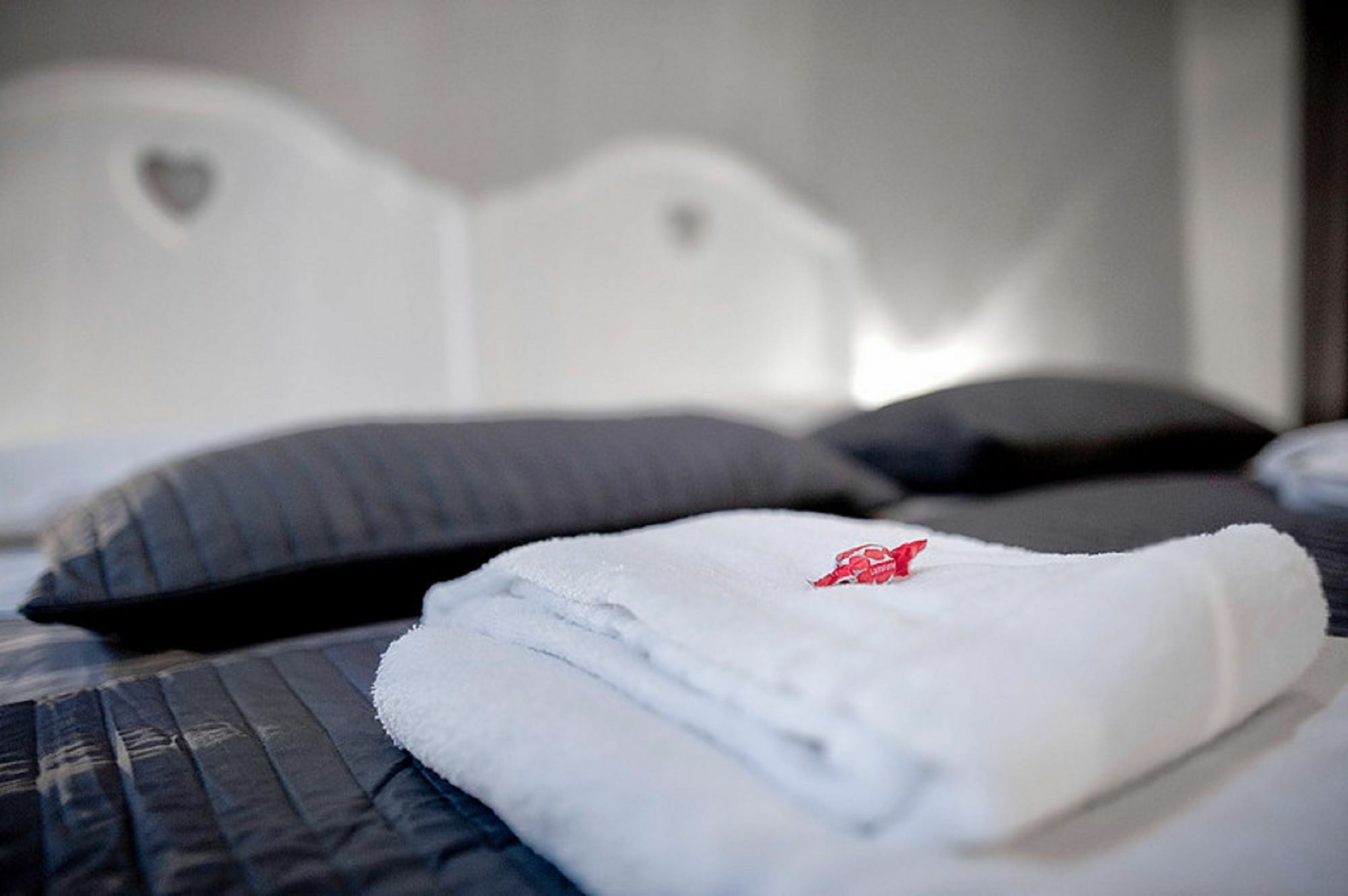 Tinkerbell Bed & Breakfast