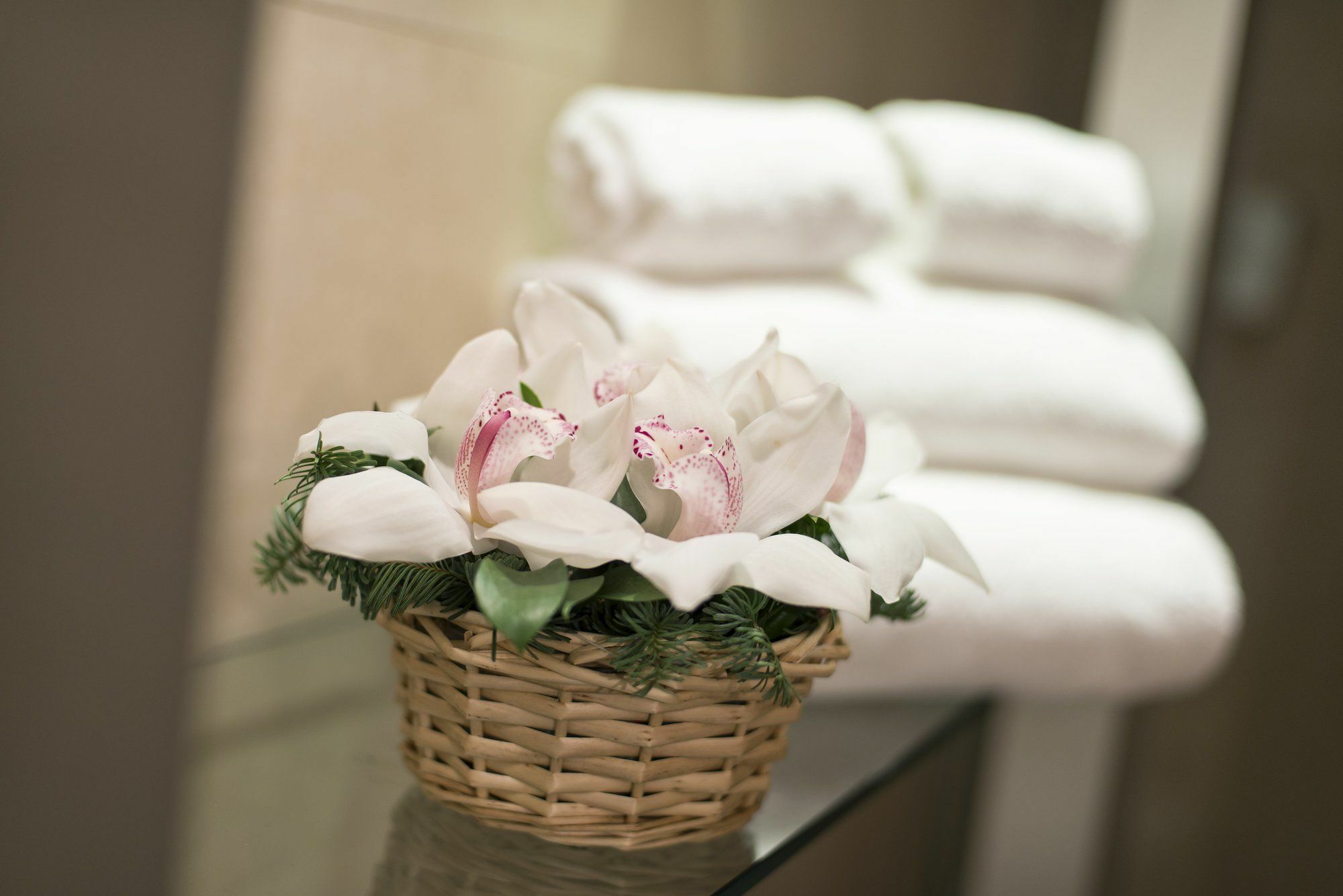 Guest house Relais Maddalena