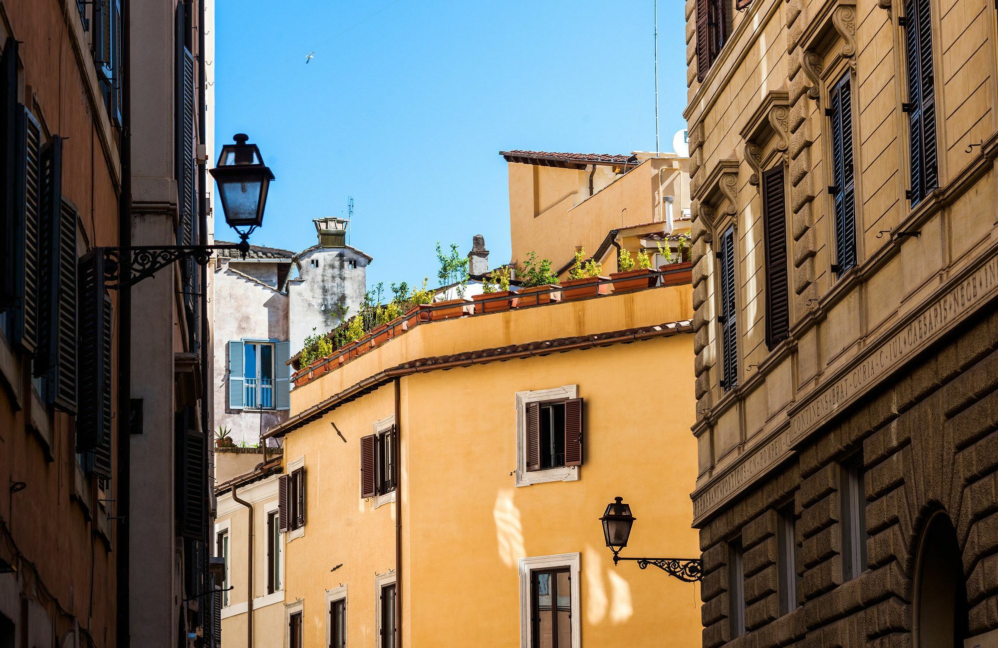 Unique Navona