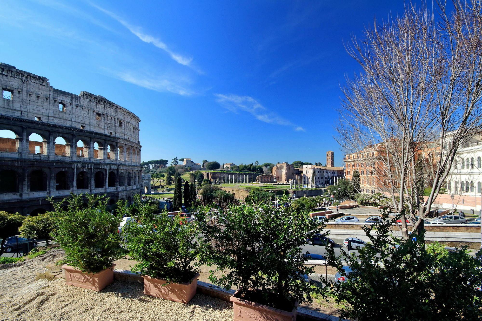 Floor Colosseo 3*