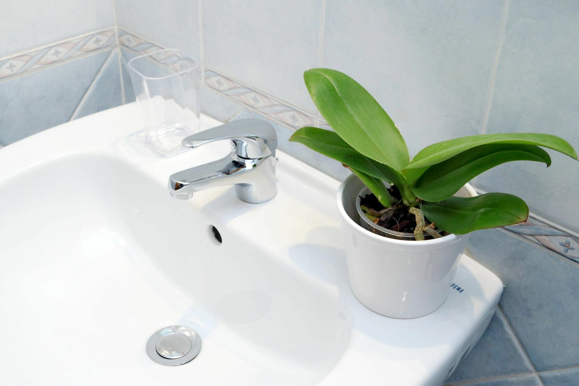 San Lorenzo District Appartement