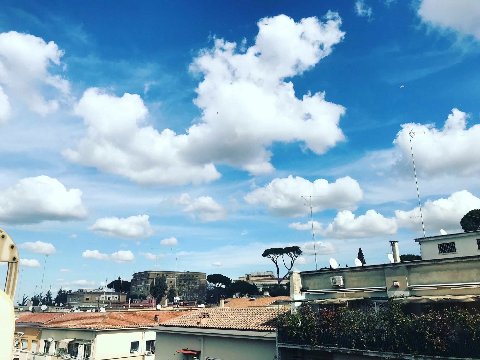 Charming Vatican Roma