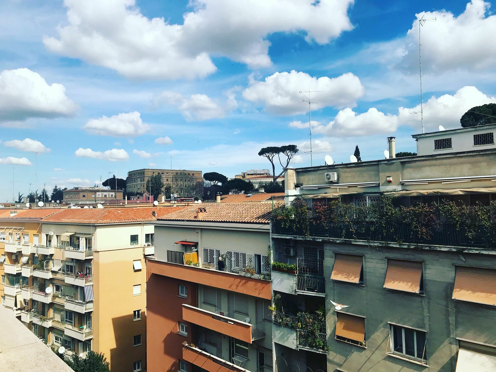 Charming Vatican Appartamento Roma