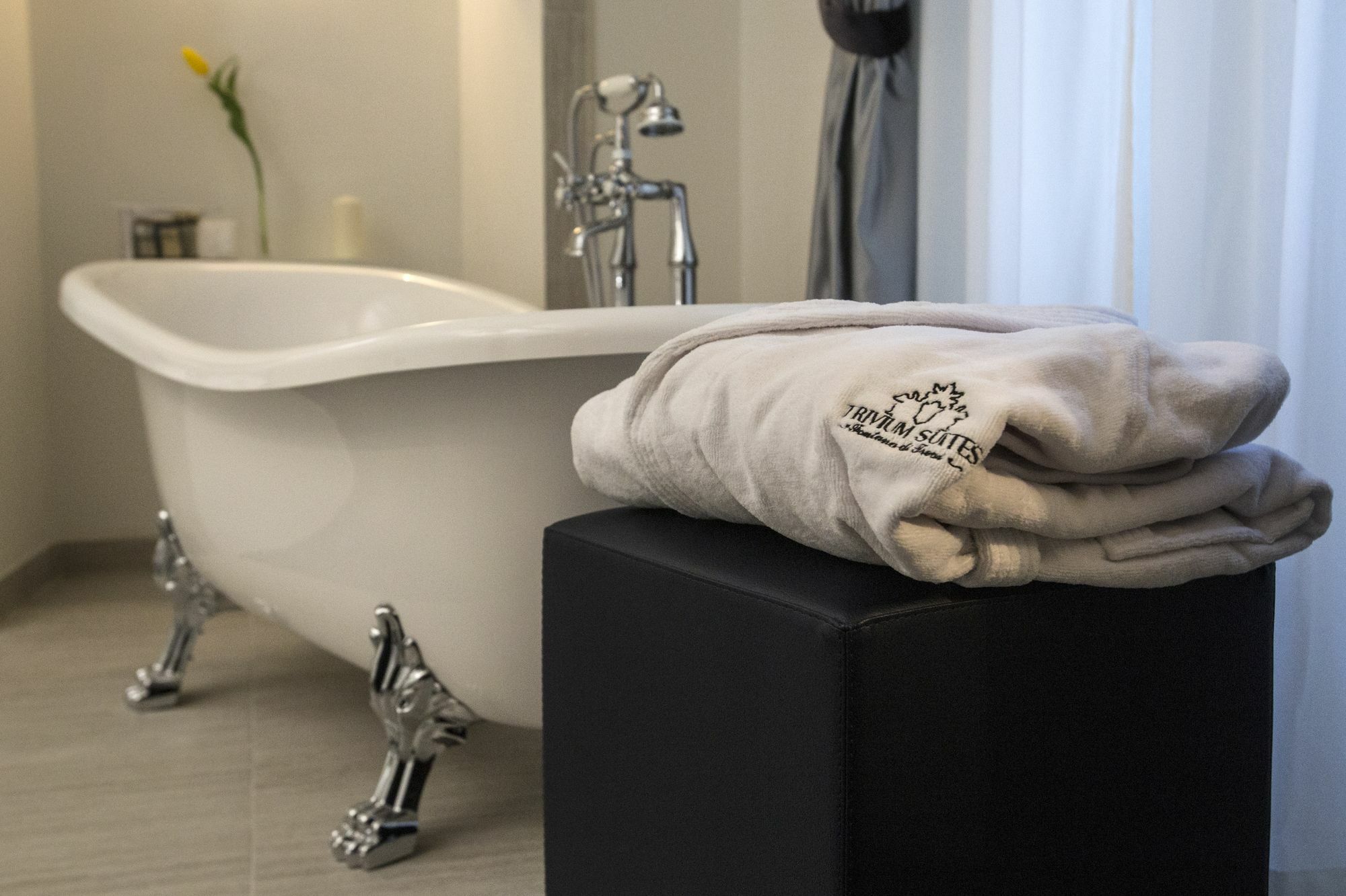 Guest house Trivium Fontana Di Trevi 3*