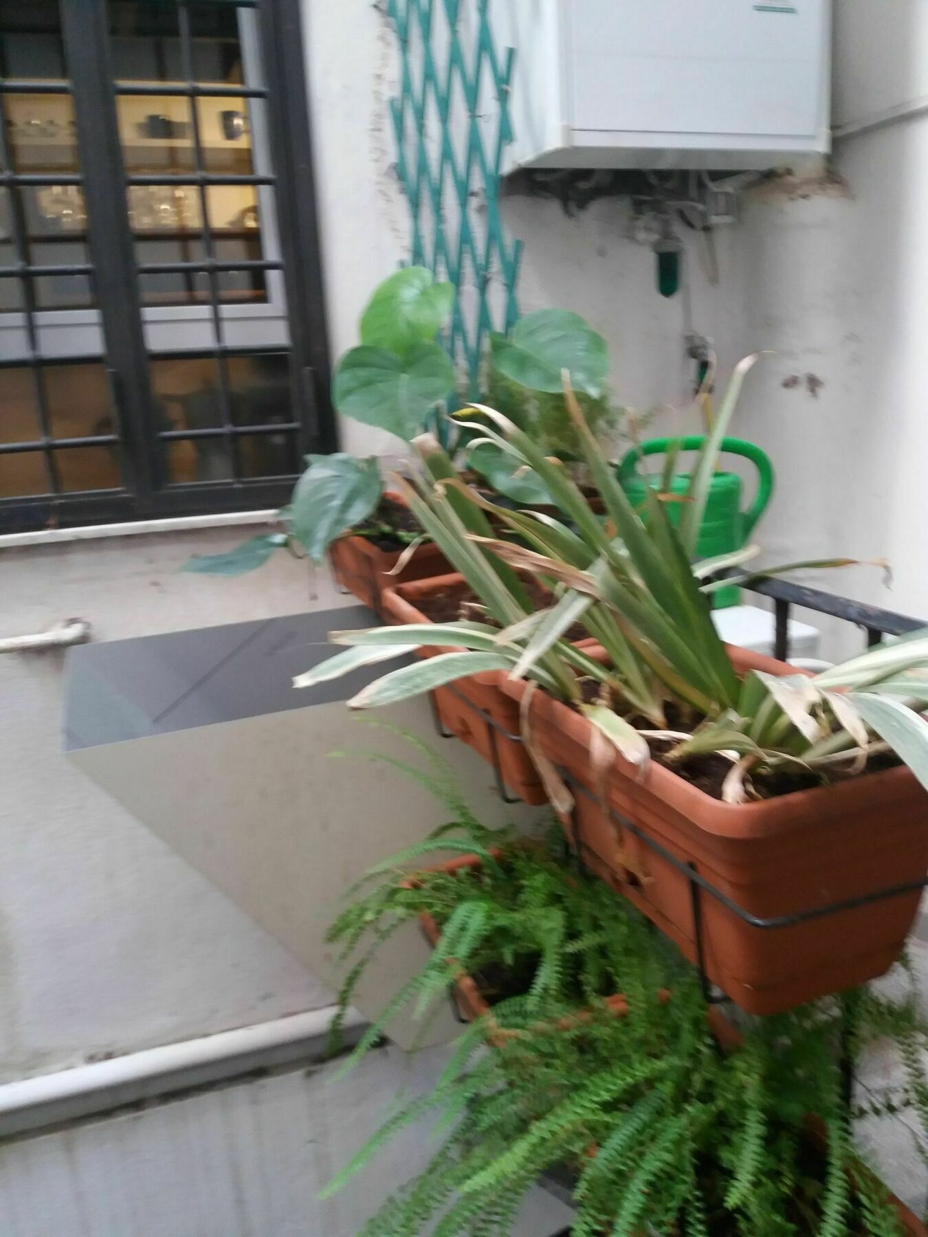 Apartment Campofiori *
