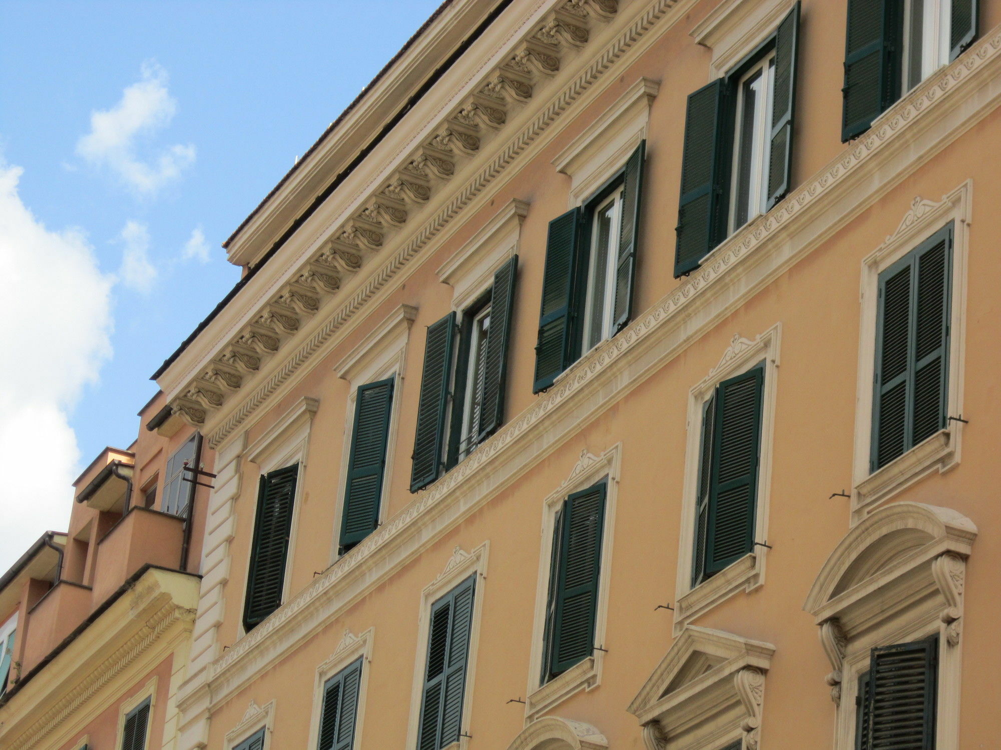 Evergreen Rome