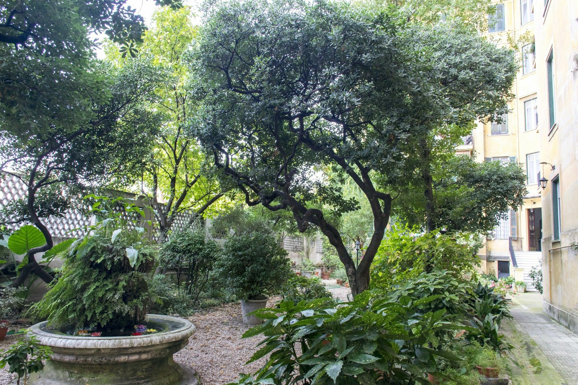 Guest house Charming Rome