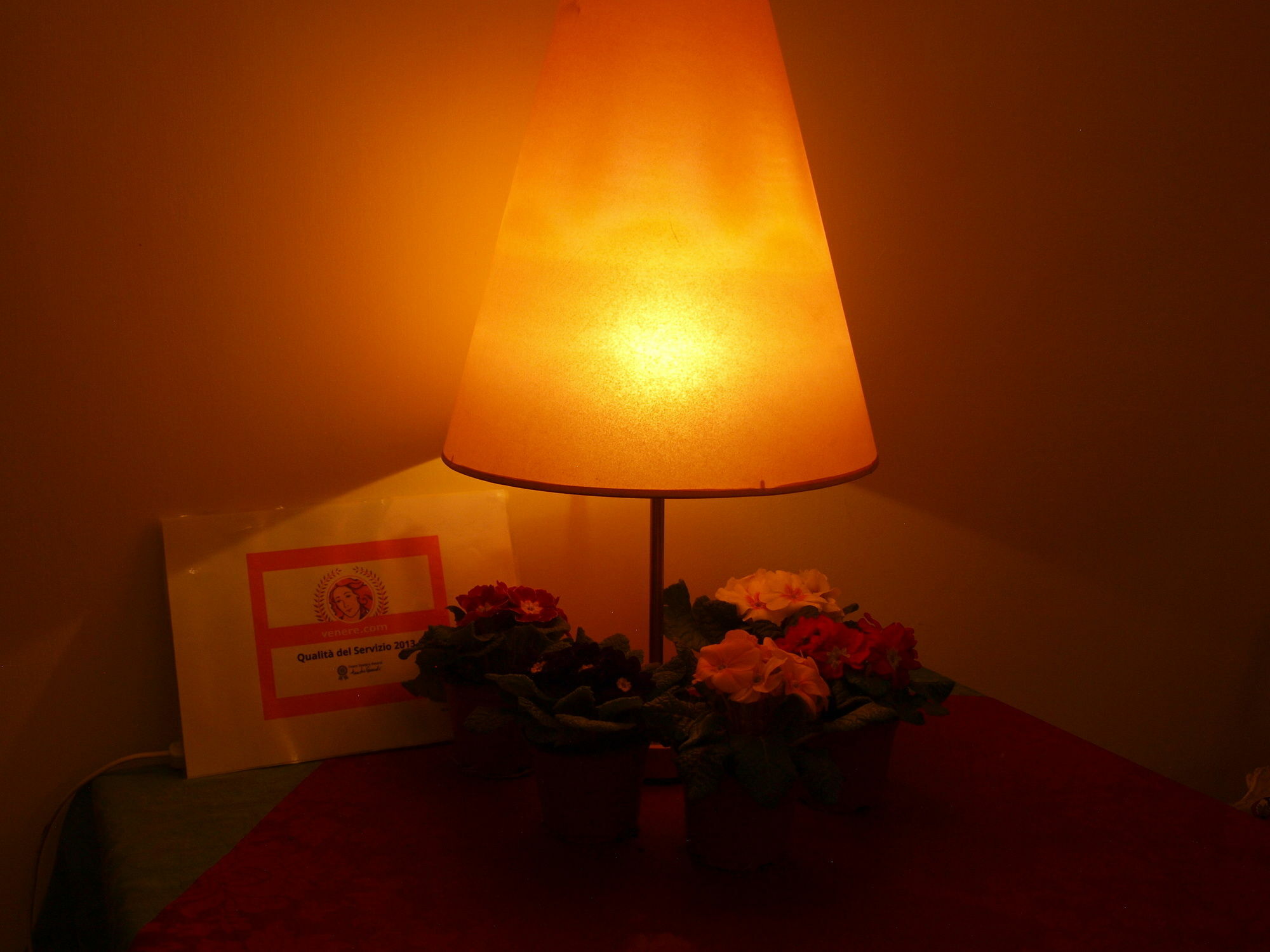 Trastevere Hotel Rome
