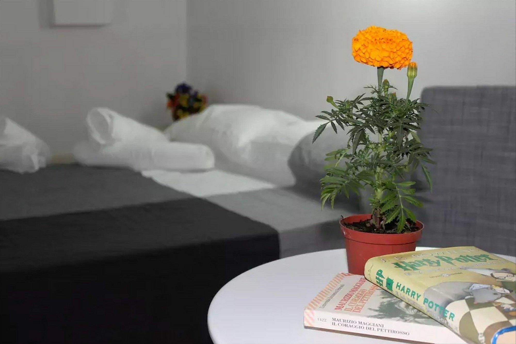 Apartment Flaminia House Trastevere