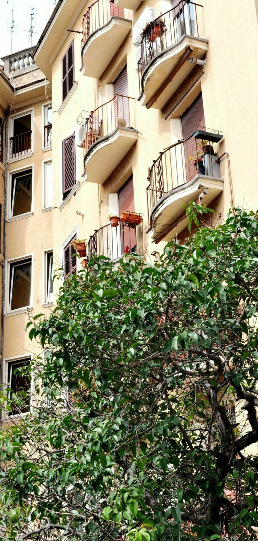 Appartement Debby *