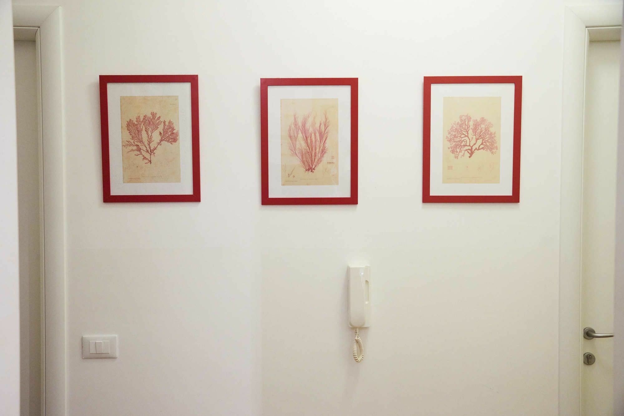 Guest house True Colors Rome