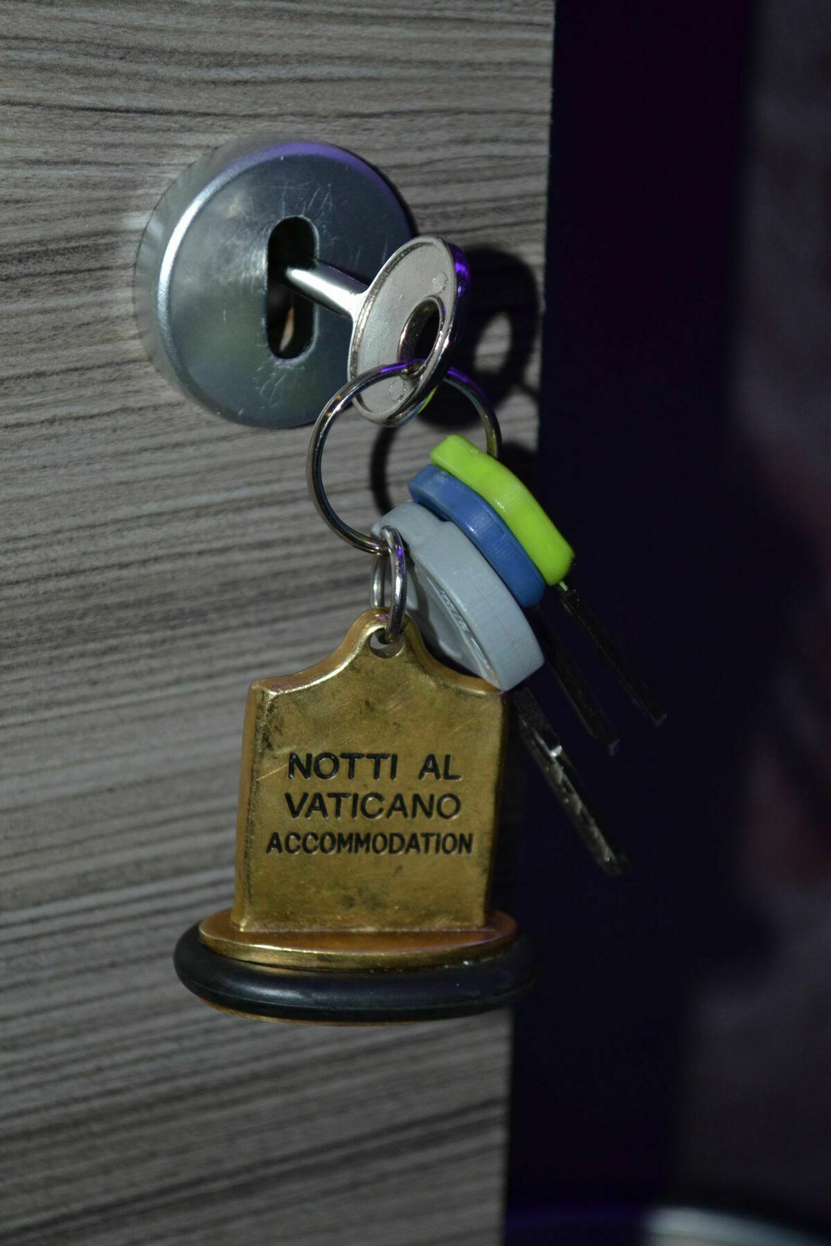 Notti Al Vaticano Deluxe St.peter's Rome