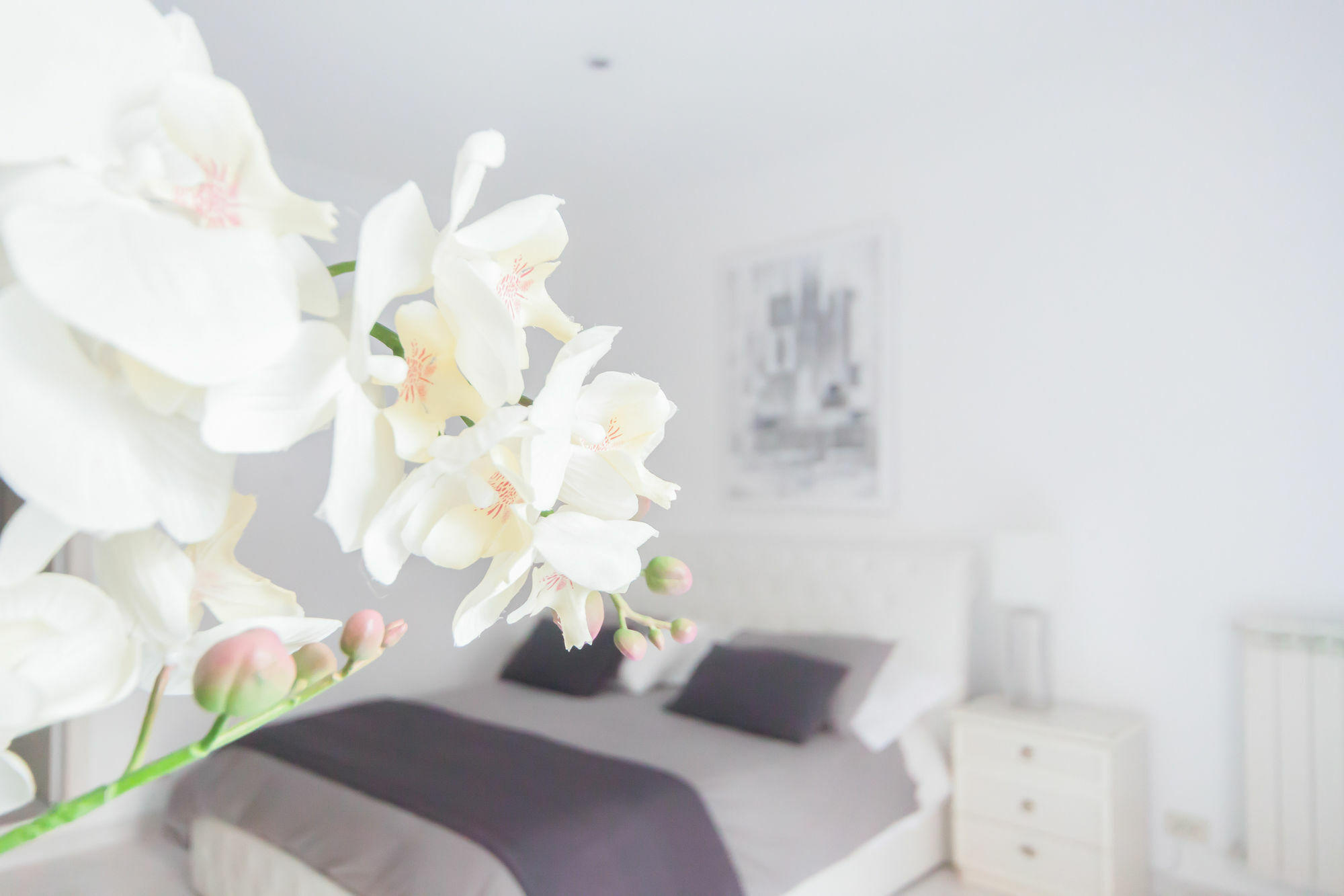 Veneto Exclusive Apartment Rome